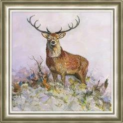 New 🧨 Dorma Dorma Majestic Stag Framed Print ✨