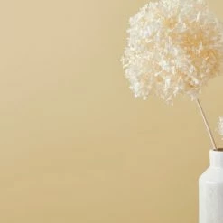 Cheap 🌟 Dorma Dorma Buttermilk Matt Emulsion Paint 👏