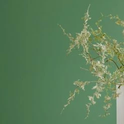 Best reviews of 👍 Dorma Dorma Persian Ivy Matt Emulsion Paint ✨