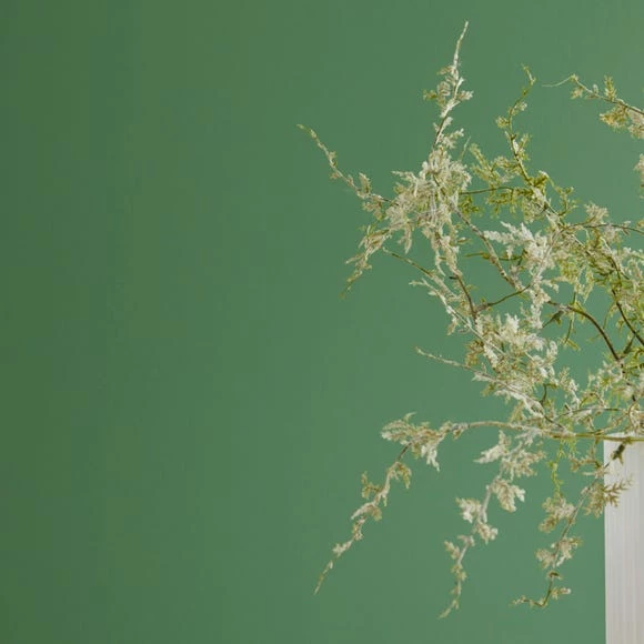 Best reviews of 👍 Dorma Dorma Persian Ivy Matt Emulsion Paint ✨ 1 Best reviews of 👍 Dorma Dorma Persian Ivy Matt Emulsion Paint ✨