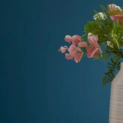 Top 10 😍 Dorma Dorma Dragonfly Teal Matt Emulsion Paint 😉