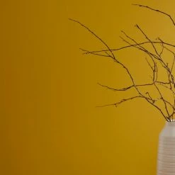 Hot Sale ✨ Dorma Dorma Indian Yellow Matt Emulsion Paint 🌟