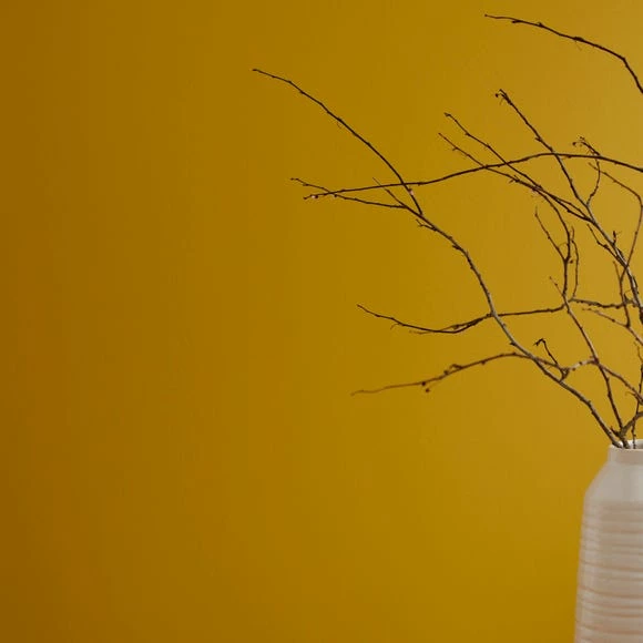 Hot Sale โจ Dorma Dorma Indian Yellow Matt Emulsion Paint ๐ 1 Hot Sale โจ Dorma Dorma Indian Yellow Matt Emulsion Paint ๐