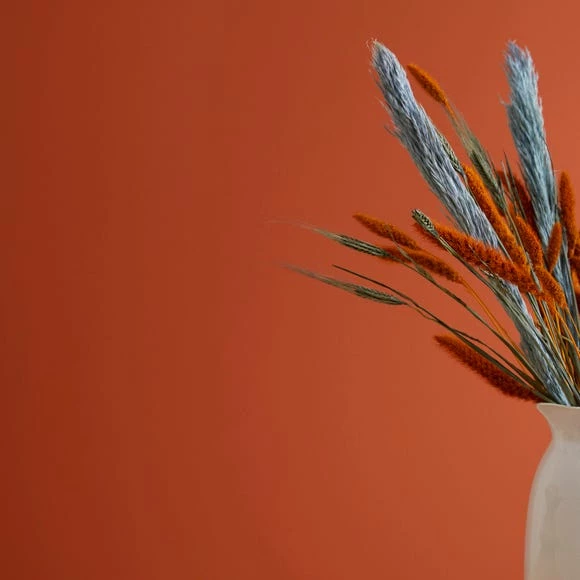 Hot Sale ๐ฅ Dorma Dorma Fox Tail Matt Emulsion Paint ๐คฉ 1 Hot Sale ๐ฅ Dorma Dorma Fox Tail Matt Emulsion Paint ๐คฉ