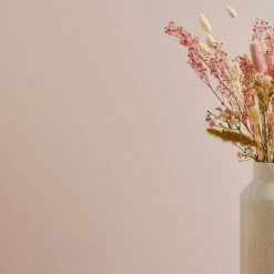 Coupon 🌟 Dorma Dorma Blush Eggshell Paint 🧨