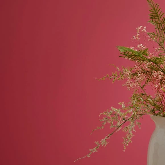 Buy ๐งจ Dorma Dorma Slate Rose Eggshell Paint ๐ 1 Buy ๐งจ Dorma Dorma Slate Rose Eggshell Paint ๐